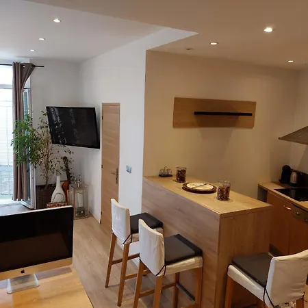 Stanislas Sea View 公寓 戛纳